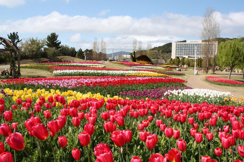 Grand Nikko Awaji Otel Dış mekan fotoğraf